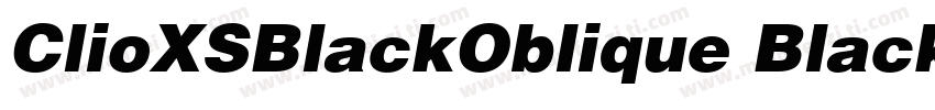 ClioXSBlackOblique Black字体转换